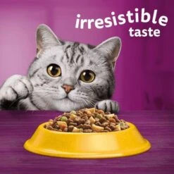 Whiskas 1+ Chicken -EUKANUBA Shop 5900951014352 si02 uk 4