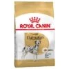 Royal Canin Dalmatian Adult 2 Royal Canin Dalmatian Adult -EUKANUBA Shop 61132 pla royalcanin adulthund dalmatian 8