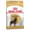 Royal Canin Rottweiler Adult 1 Royal Canin Rottweiler Adult -EUKANUBA Shop 61166 pla royalcanin adulthund rottweiler 7