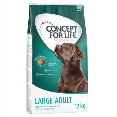Concept For Life Large Adult
