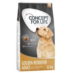 Concept For Life Golden Retriever Adult