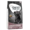 Concept For Life Labrador Retriever Adult -EUKANUBA Shop 66955 pla concept for life labrador retriever 12kg 5