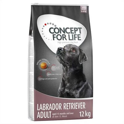 Concept For Life Labrador Retriever Adult 3 Concept For Life Labrador Retriever Adult