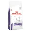 Royal Canin Veterinary Dog – Dental Special Small Dog -EUKANUBA Shop 68162 pla elvetis royal canin veterinary dental small dog 3