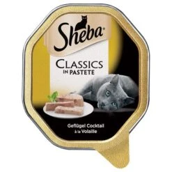Sheba Classics Terrine Trays Multibuy -EUKANUBA Shop 75147 pla sheba pastetegc 85g 400 1