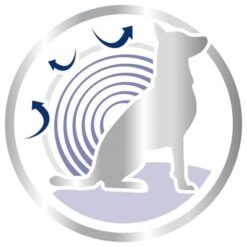 Royal Canin Maxi Ageing 8+ -EUKANUBA Shop 80638 royalcanin maxiageing 8plus 15kg picto hs 03 9