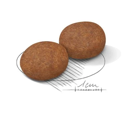 Royal Canin Medium Adult 7+ 5 Royal Canin Medium Adult 7+ - Image 3