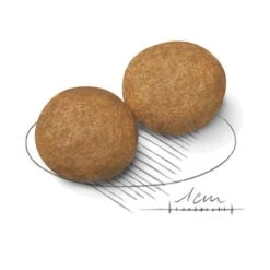 Royal Canin Medium Adult -EUKANUBA Shop 80731 royalcanin mediumadult 15kg croc hs 02 7