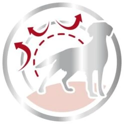 Royal Canin Medium Adult -EUKANUBA Shop 80731 royalcanin mediumadult 15kg picto hs 03 6