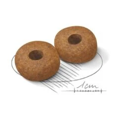 Royal Canin Medium Ageing 10+ 9 Royal Canin Medium Ageing 10+ -EUKANUBA Shop 80734 royalcanin mediumageing 10plus 15kg croc hs 02 5