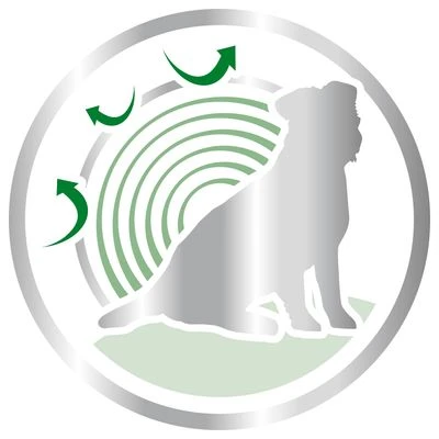 Royal Canin Mini Ageing 12+ 6 Royal Canin Mini Ageing 12+ - Image 4