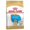 Royal Canin Labrador Retriever Puppy -EUKANUBA Shop 84596 pla royalcanin puppyhund labradorretriever 7