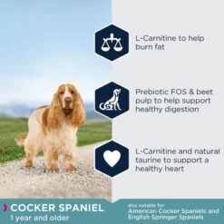 Eukanuba Cocker Spaniel Adult -EUKANUBA Shop 8710255120294 9