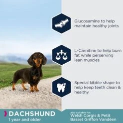 Eukanuba Dachshund Adult -EUKANUBA Shop 8710255122090 2 0