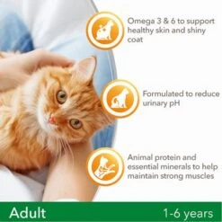 IAMS For Vitality Adult Fresh Chicken Dry Cat Food 13 IAMS For Vitality Adult Fresh Chicken Dry Cat Food -EUKANUBA Shop 8710255125954 a 8
