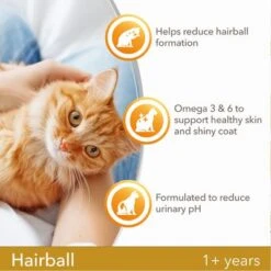 IAMS For Vitality Adult Hairball Reduction Fresh Chicken Dry Cat Food 9 IAMS For Vitality Adult Hairball Reduction Fresh Chicken Dry Cat Food -EUKANUBA Shop 8710255127064 5
