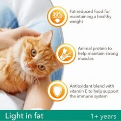 IAMS For Vitality Light In Fat Adult Fresh Chicken Dry Cat Food -EUKANUBA Shop 8710255127637 3 9
