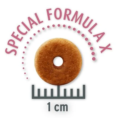 Concept For Life All Cats 4 Concept For Life All Cats - Image 2