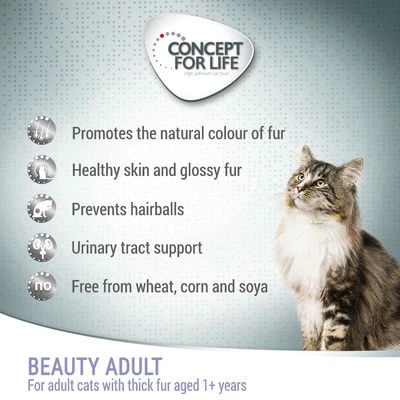 Concept For Life Beauty Adult 4 Concept For Life Beauty Adult - Image 2