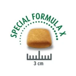 Concept For Life Boxer Adult -EUKANUBA Shop boxer krokette 1000x1000px 9