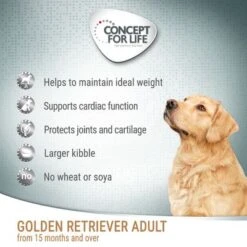 Concept For Life Golden Retriever Adult -EUKANUBA Shop cfl board dog goldenretrieveradult 9