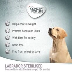 Concept For Life Labrador Sterilised 10 Concept For Life Labrador Sterilised -EUKANUBA Shop cfl board dog labradorsterilised 1 6
