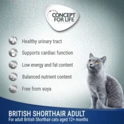 Concept For Life British Shorthair Adult - In Ragout -EUKANUBA Shop cfl cat wet board british shorthair adult 6