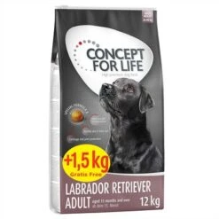 Concept For Life Labrador Retriever Adult 9 Concept For Life Labrador Retriever Adult -EUKANUBA Shop concept for life labrador retriever bonusbag 12kg 1 5kg 0