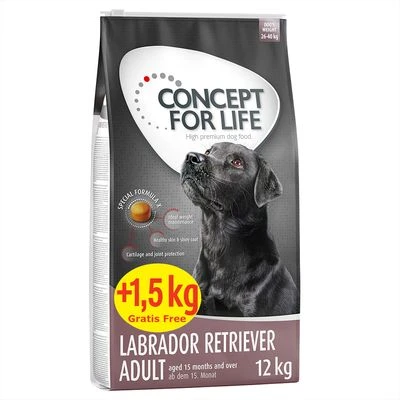 Concept For Life Labrador Retriever Adult 5 Concept For Life Labrador Retriever Adult - Image 3