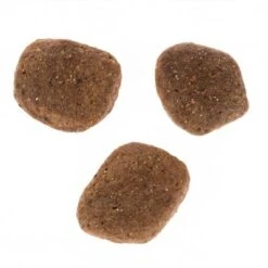 Wolf Of Wilderness "The Taste Of Canada" - With Beef & Turkey 22 Wolf Of Wilderness "The Taste Of Canada" - With Beef & Turkey -EUKANUBA Shop dsc2627 4