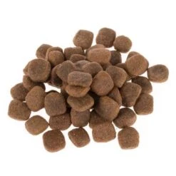 Wolf Of Wilderness "The Taste Of Canada" - With Beef & Turkey 21 Wolf Of Wilderness "The Taste Of Canada" - With Beef & Turkey -EUKANUBA Shop dsc2630 3