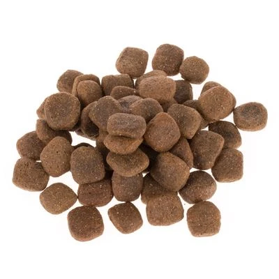 Wolf Of Wilderness "The Taste Of Canada" - With Beef & Turkey 11 Wolf Of Wilderness "The Taste Of Canada" - With Beef & Turkey - Image 9