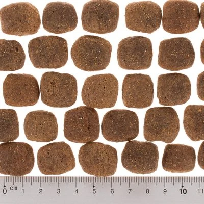 Wolf Of Wilderness "The Taste Of Canada" - With Beef & Turkey 9 Wolf Of Wilderness "The Taste Of Canada" - With Beef & Turkey - Image 7