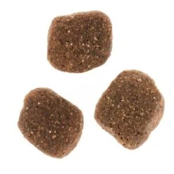 Wolf Of Wilderness "The Taste Of The Mediterranean" - With Lamb & Trout -EUKANUBA Shop dsc2639 2