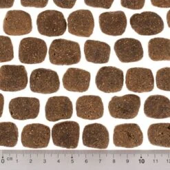 Wolf Of Wilderness "The Taste Of The Mediterranean" - With Lamb & Trout -EUKANUBA Shop dsc2642 0