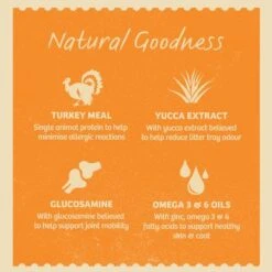 James Wellbeloved Cat Senior Pouches - Turkey -EUKANUBA Shop ew9b0iofqpmzllqe1aor 2048x 4