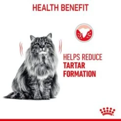 Royal Canin Dental Care -EUKANUBA Shop fcn22 hero image dry dental b1 page4 med res basic 1006734 1