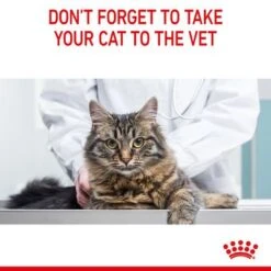 Royal Canin Dental Care -EUKANUBA Shop fcn22 hero image general vet care b1 page11 med res basic 3
