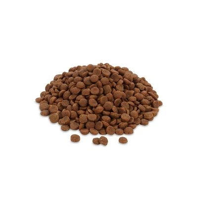 Feringa Adult Classic Fish 6 Feringa Adult Classic Fish - Image 4