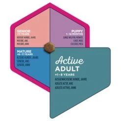 Eukanuba Small Breed Adult - Chicken 15 Eukanuba Small Breed Adult - Chicken -EUKANUBA Shop iams eukanuba 8710255120072 2 7