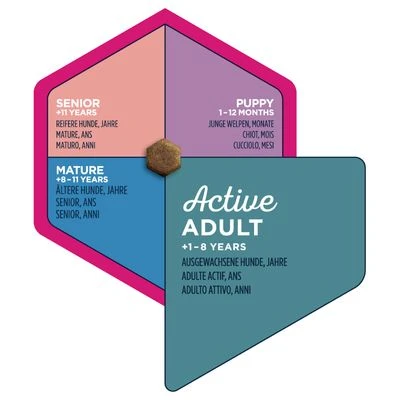 Eukanuba Small Breed Adult - Chicken 9 Eukanuba Small Breed Adult - Chicken - Image 7