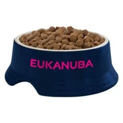 Eukanuba Small Breed Adult - Chicken 13 Eukanuba Small Breed Adult - Chicken -EUKANUBA Shop iams eukanuba 8710255120072 3 6