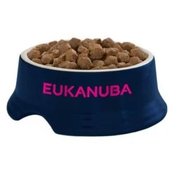 Eukanuba Medium Breed Adult - Chicken -EUKANUBA Shop iams eukanuba 8710255146119 4 0