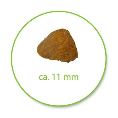 Royal Canin Indoor 9 Royal Canin Indoor - Image 7