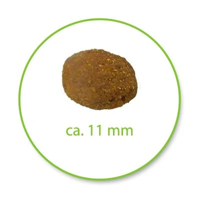 Royal Canin Indoor Long Hair 8 Royal Canin Indoor Long Hair - Image 6