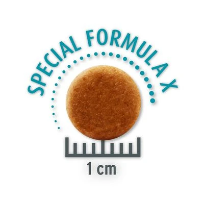 Concept For Life Sensitive Cats 5 Concept For Life Sensitive Cats - Image 3