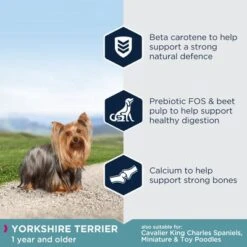 Eukanuba Yorkshire Terrier Adult -EUKANUBA Shop key benefits 6