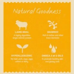 James Wellbeloved Adult Grain Free Pouches - Lamb With Vegetables -EUKANUBA Shop ktff5x2ggbqk3fzl1wcu 2048x 5