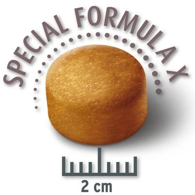 Concept For Life Labrador Retriever Adult 6 Concept For Life Labrador Retriever Adult - Image 4