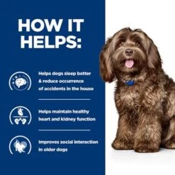 Hill's Prescription Diet Canine B/d Ageing & Alertness Care - Chicken -EUKANUBA Shop pd bd dog bk28322m how helps uk 1